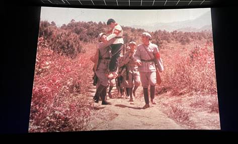 d06bdca76afbc70539ff3929ca5be7b